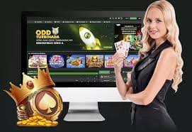 Đội tuyển bóng đá Việt Nam thi đấu V.League 1